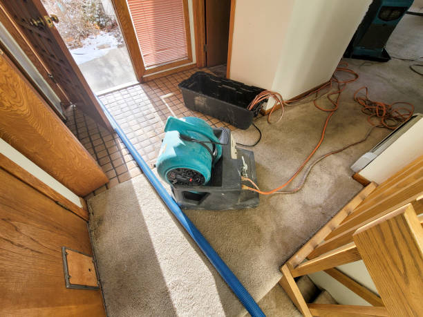 Water damage restoration insurance claims in IN