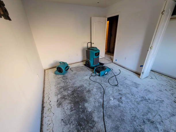 Best 24/7 water damage repair  in Fort Wayne, IN