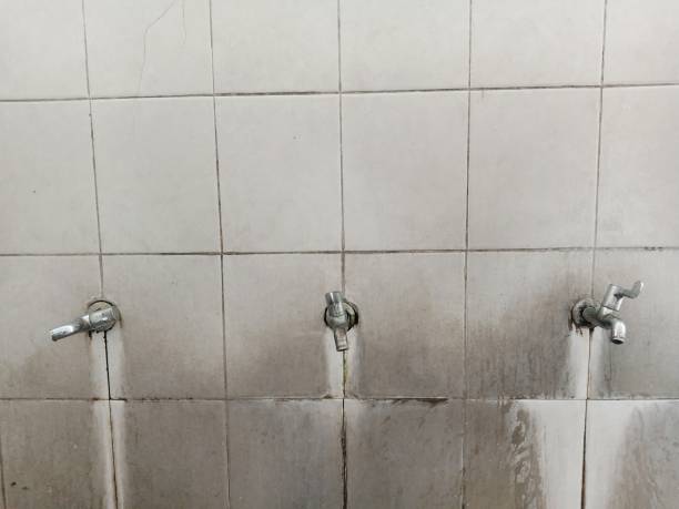 Best 24-hour water damage restoration  in Fort Wayne, IN