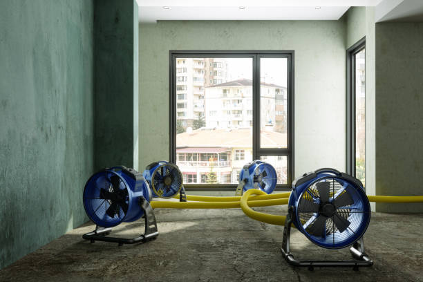 Best Water damage contractors near me  in Fort Wayne, IN